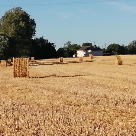 La Case A Jane, Gite Familial En Pays Tarnais Coufouleux Exterior foto