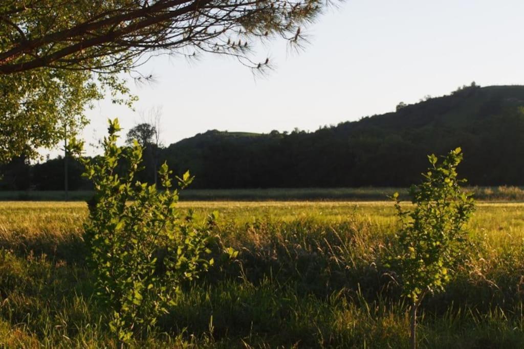 La Case A Jane, Gite Familial En Pays Tarnais Coufouleux Exterior foto