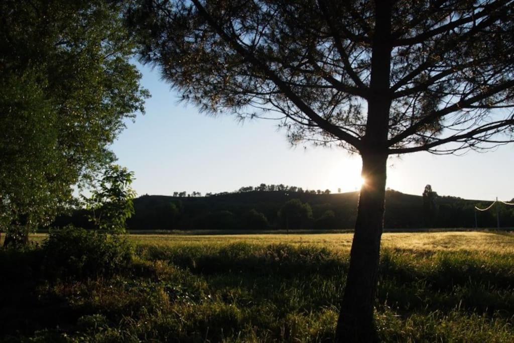 La Case A Jane, Gite Familial En Pays Tarnais Coufouleux Exterior foto