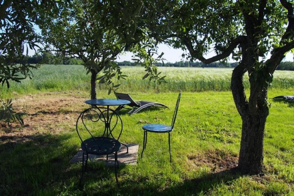 La Case A Jane, Gite Familial En Pays Tarnais Coufouleux Exterior foto