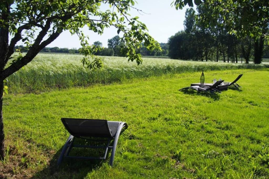 La Case A Jane, Gite Familial En Pays Tarnais Coufouleux Exterior foto
